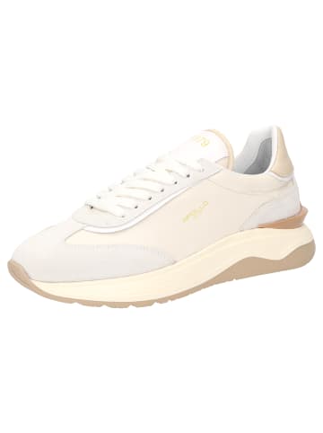Sioux Sneaker Apollo-D-001 in grau
