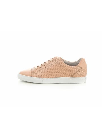 Camino71 Sneaker für Damen in rosa