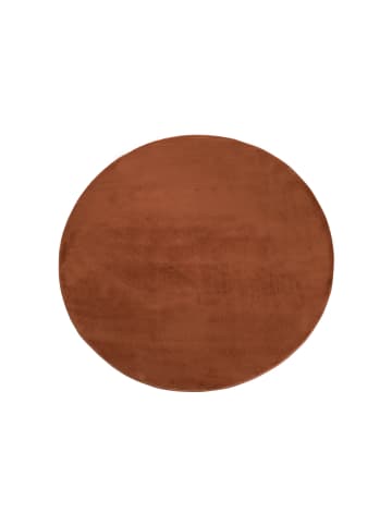 payé Teppich Hochflor Autum