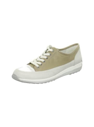 ara Sneaker für Damen in grau in grau