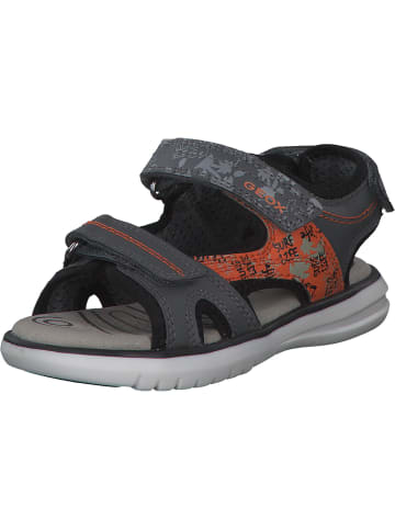 Geox Sandalen in Grau