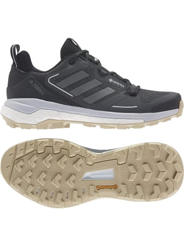 adidas TERREX SKYCHASER 2 GTXW in Blau