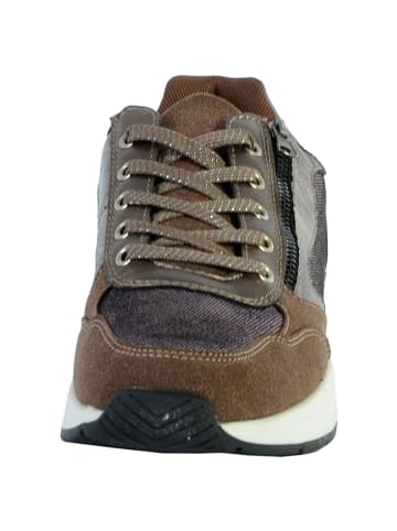 Divine Factory Sneakers AP4014 Braun