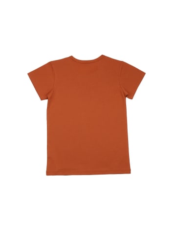Walkiddy T-Shirt Dinosaurland - Baumwolle (Bio)