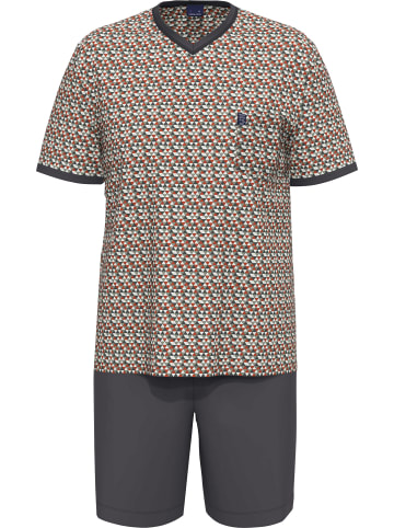 Ammann Single-Jersey Bio Shorty in anthrazit