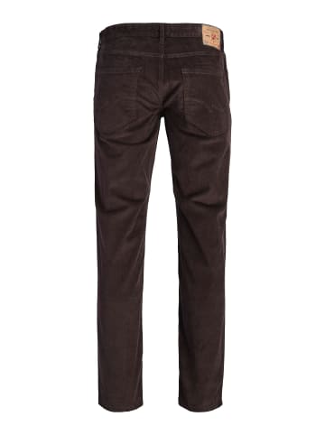 JACK & JONES PLUS Hose in Ganache
