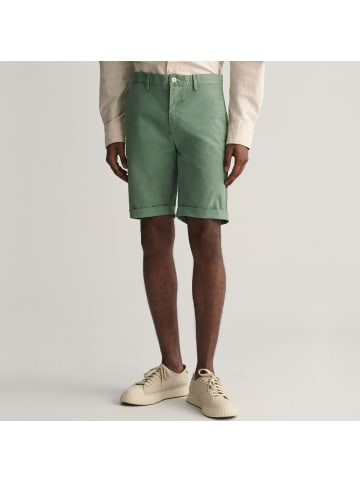 Gant Shorts in KalamataGreen