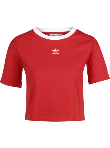adidas Cropped T-Shirts in lush red/white