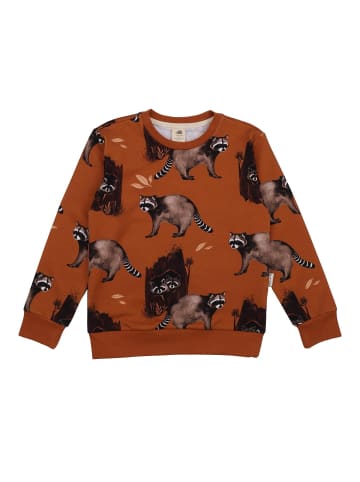 Walkiddy Sweatshirt Curious Raccoons-Sweatshirt