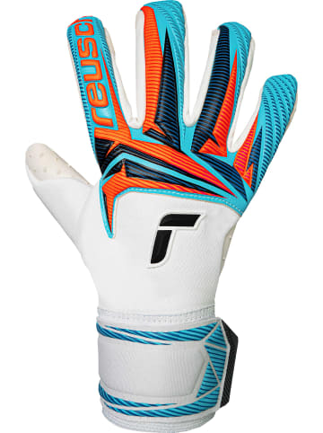 Reusch Torwarthandschuhe Attrakt SpeedBump in 1080 white/light blue