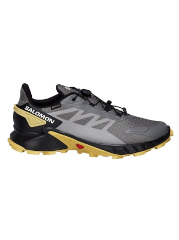 SALOMON Trailschuhe SHOES SUPERCROSS 4 GTX in Grau