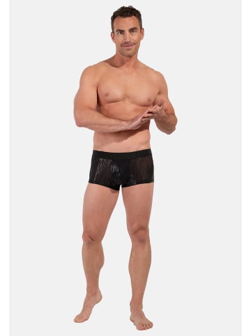 HOM Retro Short / Pant Strip in Schwarz