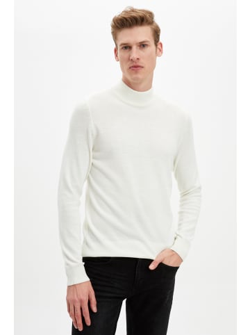 DeFacto Stehkragenpullover SLIM FIT in Ecru