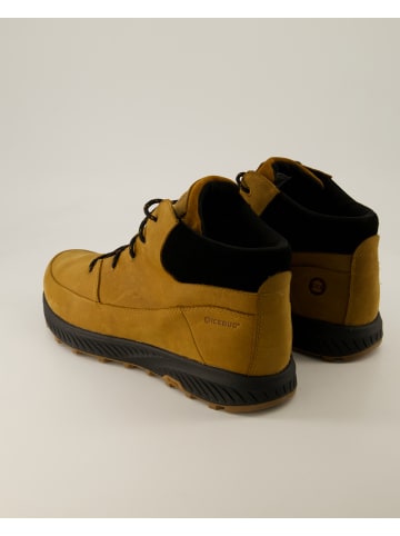 Icebug Wanderschuhe in Braun