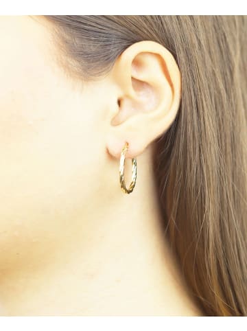 Vanlere Creolen aus 375 Gelbgold