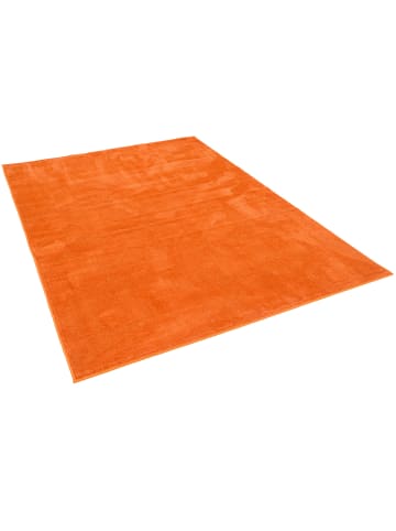Snapstyle Luxus Super Soft Hochflor Langflor Teppich Deluxe in Orange