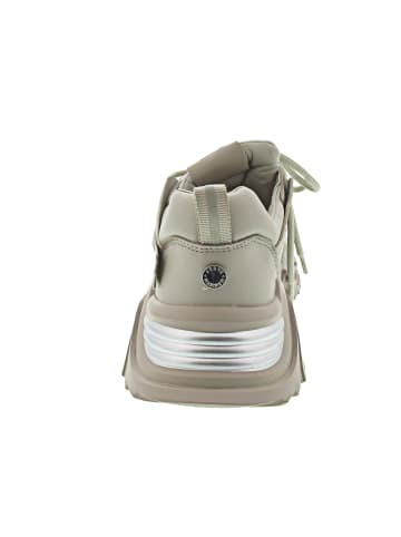 Steve Madden Kingdom Sneaker low Beige