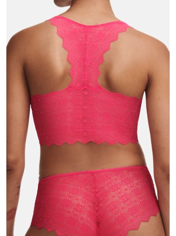 Passionata Bustier Georgia in Lipstick