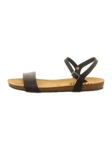 Plakton Sandale in schwarz