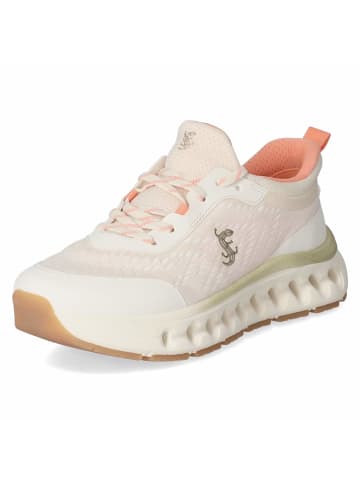 SALAMANDER Schnürhalbschuh in weiss-kombi