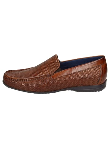 Sioux Slipper Giumelo-705-XL in braun