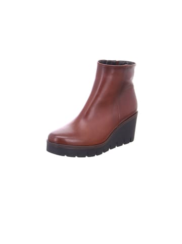 Gabor Stiefeletten für Damen in cognac