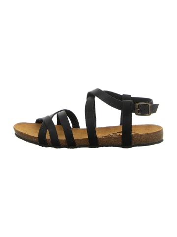Plakton Sandalen in Schwarz