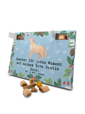 Mr. & Mrs. Panda Hunde Adventskalender Nova Scotia Duck Moment m... in Eisblau