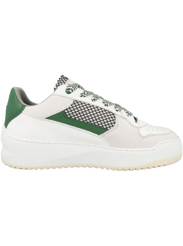 FILLING PIECES Sneaker low Avenue Isla in gruen