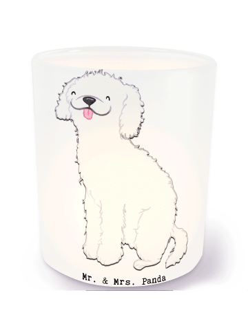 Mr. & Mrs. Panda Kerze Kleinpudel Lebensretter ohne Spruch in Transparent