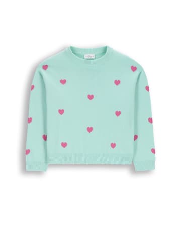 Coccodrillo Strickpullover in in Minzfarbe