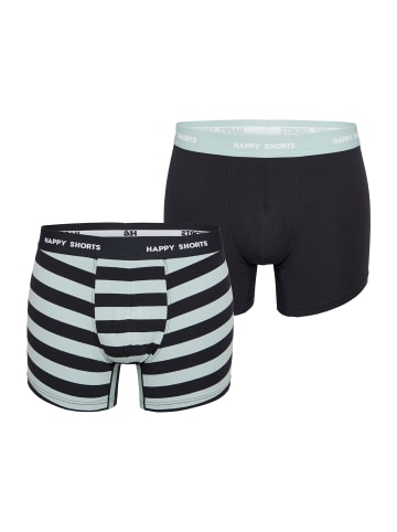 Happy Shorts Retro Pants Trunks in Dusty Mint Blockstripe