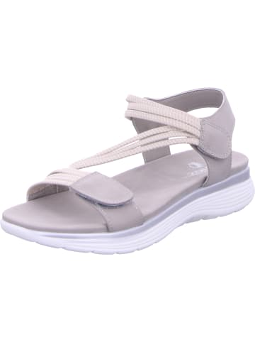 Cosmos Comfort Sandale in grau