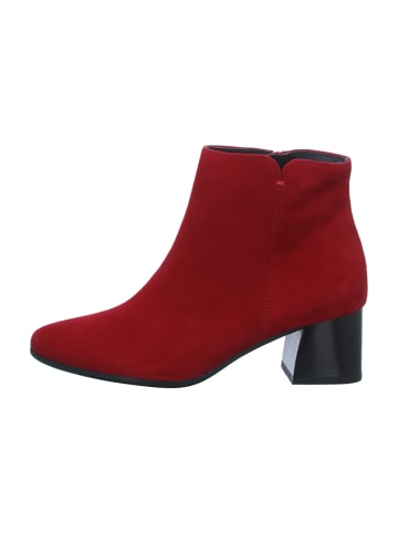 Paul Green Klassische Stiefeletten in Rot
