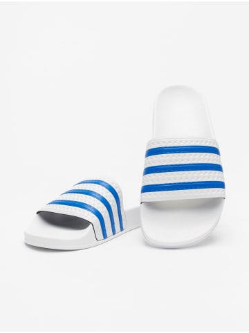 adidas Sandalen in footwear white