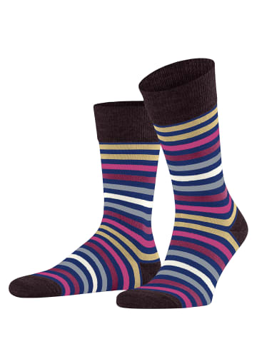 Falke Socken Tinted Stripe in Cobalt