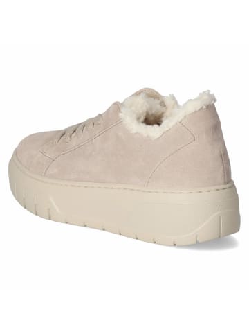 Gabor Low Sneaker in beige