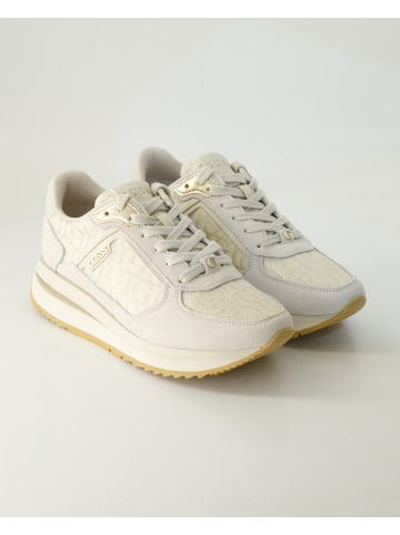 Guess Sneaker low in Beige