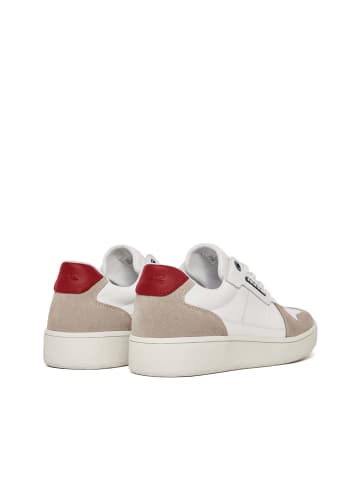 Polo Club Sneakers in weiß-beige