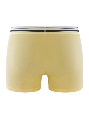 DIM Boxer Smart in Gelb