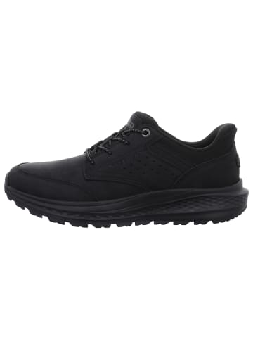 Skechers Sneaker in schwarz