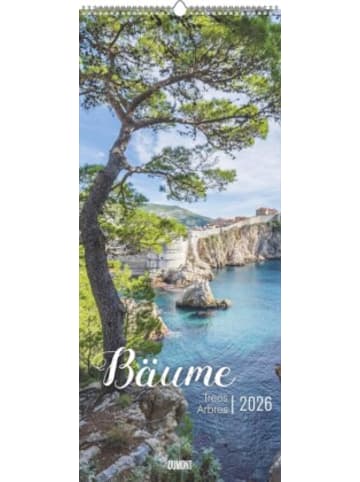 DuMont Kalenderverlag Kalender - DUMONT - Bäume 2026 - Wandkalender 30x70 cm - Naturkalender mit