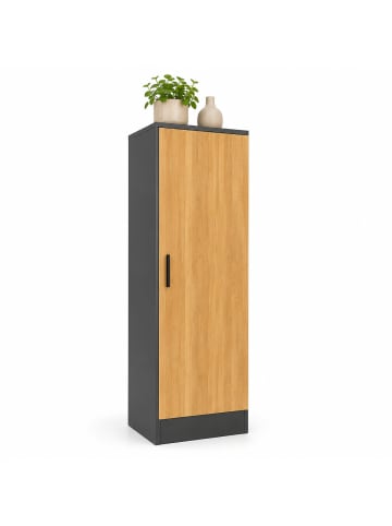 VCM Mehrzweckschrank Büro Wohnzimmer Dilos 114 x 38 cm in Anthrazit / Honig-Eiche