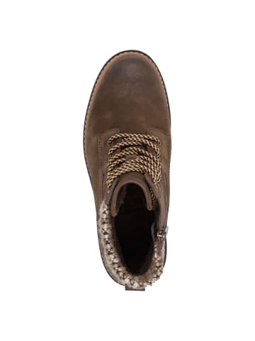 Marco Tozzi Stiefelette in CAFE NUB. COMB