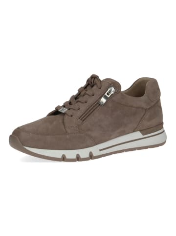 Caprice Sneaker in Taupe