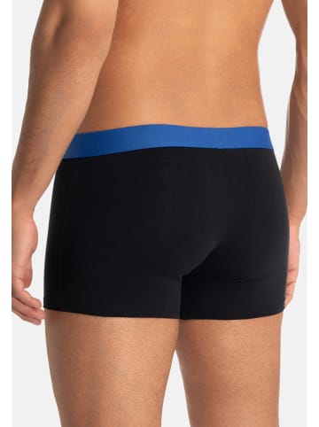 Bruno Banani Retro Short / Pant Flowing in Blau / schwarz