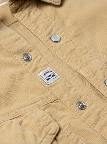 Checker Hemd Dynasty Cord in Camel