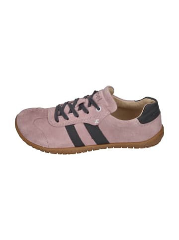 KOEL Sneaker Low ILA SUEDE  in rosa