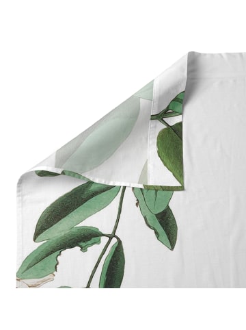 Happy Friday Blooming Oberlaken