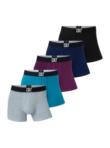 CR7 Boxer Basic Trunk Organic in Dunkelblau/Weiß